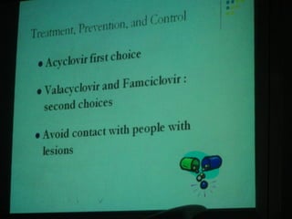 34. the dna viruses ii