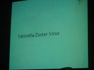 34. the dna viruses ii
