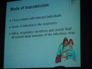 34. the dna viruses ii
