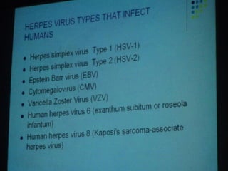 34. the dna viruses ii