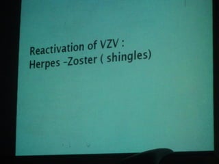 34. the dna viruses ii