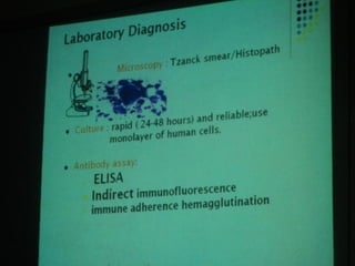 34. the dna viruses ii
