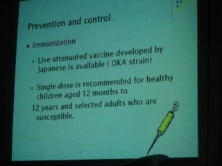 34. the dna viruses ii