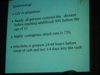 34. the dna viruses ii