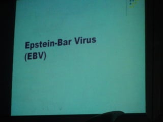 34. the dna viruses ii