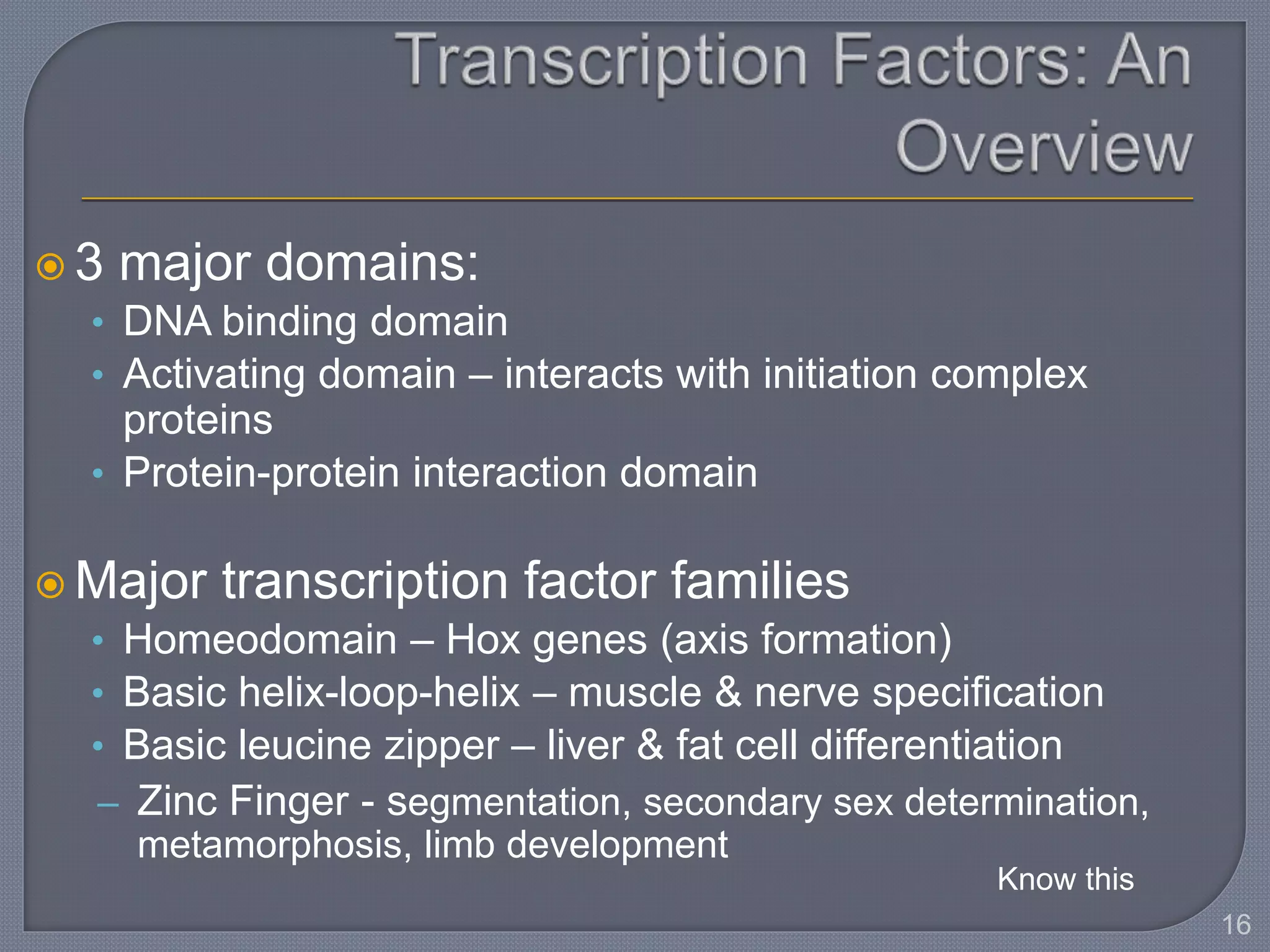  3 major domains:
• DNA binding domain
• Activating domain – interacts with initiation complex
proteins
• Protein-protein interaction domain
 Major transcription factor families
• Homeodomain – Hox genes (axis formation)
• Basic helix-loop-helix – muscle & nerve specification
• Basic leucine zipper – liver & fat cell differentiation
– Zinc Finger - segmentation, secondary sex determination,
metamorphosis, limb development
16
Know this
 