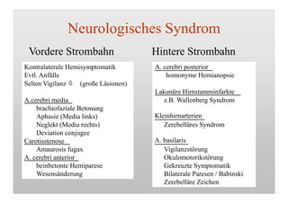Neurologisches Syndrom
Vordere Strombahn
Kontralaterale Hemisymptomatik
Evtl. Anfälle
A.cerebri media
brachiofaziale Betonung
Aphasie (Media links)
Neglekt (Media rechts)
Deviation conjugee
Carotisstenose
Amaurosis fugax
A. cerebri anterior
beinbetonte Hemiparese
Wesensänderung
Hintere Strombahn
A. cerebri posterior
homonyme Hemianopsie
Selten Vigilanz  (große Läsionen)
Lakunäre Hirnstamminfarkte
z.B. Wallenberg Syndrom
Kleinhirnarterien
Zerebelläres Syndrom
A. basilaris
Vigilanzstörung
Okulomotorikstörung
Gekreuzte Symptomatik
Bilaterale Paresen / Babinski
Zerebelläre Zeichen
 