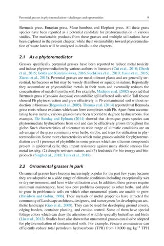 Phytoremediation Potential of Perennial Grasses 1st Edition Vimal ...
