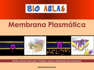 www.bioaula.com.br
Membrana Plasmática
Direitos autorais reservados. Proibida a venda ou distribuição sem autorização.
 
