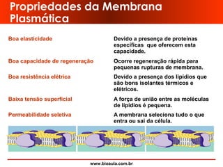 www.bioaula.com.br
Propriedades da Membrana
Plasmática
Boa elasticidade Devido a presença de proteínas
específicas que oferecem esta
capacidade.
Boa capacidade de regeneração Ocorre regeneração rápida para
pequenas rupturas de membrana.
Boa resistência elétrica Devido a presença dos lipídios que
são bons isolantes térmicos e
elétricos.
Baixa tensão superficial A força de união entre as moléculas
de lipídios é pequena.
Permeabilidade seletiva A membrana seleciona tudo o que
entra ou sai da célula.
 