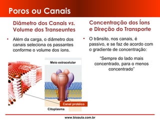 www.bioaula.com.br
Poros ou Canais
Diâmetro dos Canais vs.
Volume dos Transeuntes
• Além da carga, o diâmetro dos
canais seleciona os passantes
conforme o volume dos íons.
Concentração dos Íons
e Direção do Transporte
• O trânsito, nos canais, é
passivo, e se faz de acordo com
o gradiente de concentração:
“Sempre do lado mais
concentrado, para o menos
concentrado”
Canal protéico
Meio extracelular
Citoplasma
 