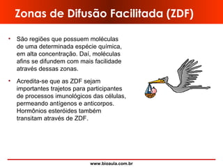 www.bioaula.com.br
Zonas de Difusão Facilitada (ZDF)
• São regiões que possuem moléculas
de uma determinada espécie química,
em alta concentração. Daí, moléculas
afins se difundem com mais facilidade
através dessas zonas.
• Acredita-se que as ZDF sejam
importantes trajetos para participantes
de processos imunológicos das células,
permeando antígenos e anticorpos.
Hormônios esteróides também
transitam através de ZDF.
 