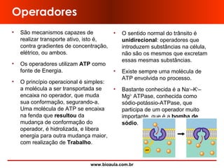 www.bioaula.com.br
Operadores
• São mecanismos capazes de
realizar transporte ativo, isto é,
contra gradientes de concentração,
elétrico, ou ambos.
• Os operadores utilizam ATP como
fonte de Energia.
• O princípio operacional é simples:
a molécula a ser transportada se
encaixa no operador, que muda
sua conformação, segurando-a.
Uma molécula de ATP se encaixa
na fenda que resultou da
mudança de conformação do
operador, é hidrolizada, e libera
energia para outra mudança maior,
com realização de Trabalho.
• O sentido normal do trânsito é
unidirecional: operadores que
introduzem substâncias na célula,
não são os mesmos que excretam
essas mesmas substâncias.
• Existe sempre uma molécula de
ATP envolvida no processo.
• Bastante conhecida é a Na+
–K+
–
Mg2+
ATPase, conhecida como
sódio-potássio-ATPase, que
participa de um operador muito
importante, que é a bomba de
sódio.
 