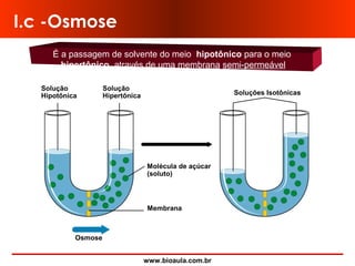 www.bioaula.com.br
Solução
Hipotônica
Solução
Hipertônica Soluções Isotônicas
Molécula de açúcar
(soluto)
Membrana
Osmose
I.c -Osmose
É a passagem de solvente do meio hipotônico para o meio
hipertônico, através de uma membrana semi-permeável
 