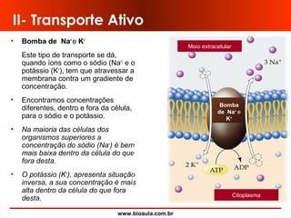 www.bioaula.com.br
II- Transporte Ativo
• Bomba de Na+
e K+
Este tipo de transporte se dá,
quando íons como o sódio (Na+)
e o
potássio (K+
), tem que atravessar a
membrana contra um gradiente de
concentração.
• Encontramos concentrações
diferentes, dentro e fora da célula,
para o sódio e o potássio.
• Na maioria das células dos
organismos superiores a
concentração do sódio (Na+
) é bem
mais baixa dentro da célula do que
fora desta.
• O potássio (K+
), apresenta situação
inversa, a sua concentração é mais
alta dentro da célula do que fora
desta.
Meio extracelular
Citoplasma
Bomba
de Na+
e
K+
 