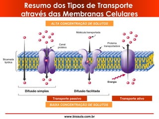 www.bioaula.com.br
Resumo dos Tipos de Transporte
através das Membranas Celulares
Difusão simples Difusão facilitada
Transporte passivo Transporte ativo
BAIXA CONCENTRAÇÃO DE SOLUTOS
ALTA CONCENTRAÇÃO DE SOLUTOS
Bicamada
lipídica
Canal
protéico
Molécula transportada
Energia
Proteína
transportadora
 