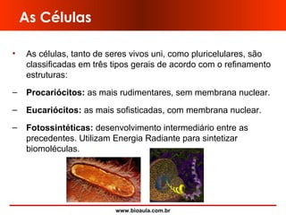www.bioaula.com.br
As Células
• As células, tanto de seres vivos uni, como pluricelulares, são
classificadas em três tipos gerais de acordo com o refinamento
estruturas:
– Procariócitos: as mais rudimentares, sem membrana nuclear.
– Eucariócitos: as mais sofisticadas, com membrana nuclear.
– Fotossintéticas: desenvolvimento intermediário entre as
precedentes. Utilizam Energia Radiante para sintetizar
biomoléculas.
 