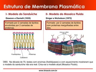 www.bioaula.com.br
Estrutura de Membrana Plasmática
I- Modelo do Sanduíche
Dawson e Danielli (1935)
II- Modelo do Mosaico Fluido
Singer e Nicholson (1972)
Formado por 2 camadas de lipídios
com proteínas mergulhadas entre
eles.
Formado por 2 camadas de lipídios
envolvidas por 2 camadas de
proteínas.
OBS: Na década de 70, testes com enzimas (fosfolipases) e com aquecimento mostraram que
o modelo do sanduíche não era real. Criou-se o modelo atual (Mosaico Fluido).
Fosfolipídios Proteínas
Colesterol
 
