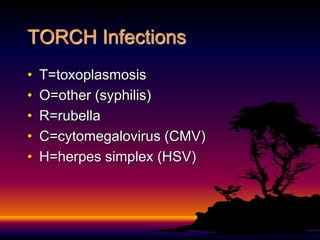 Torch Infection Rashes 34061_TORCH_maranich.ppt
