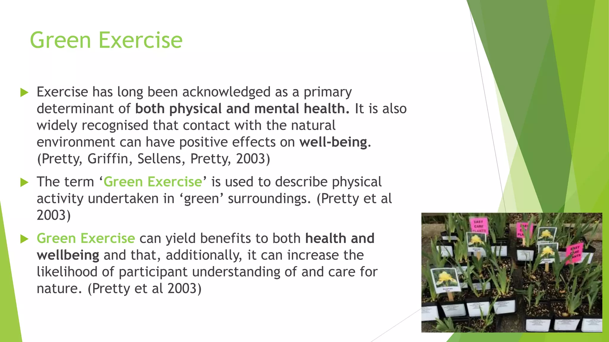 Group 6 Powerpoint Green 21.04.16[872] | PPTX | Wellness | Healthy Living