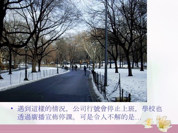 紐約的雪