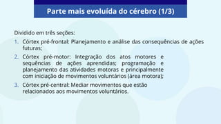 Parte mais evoluída do cérebro (1/3)
Dividido em três seções:
1. Córtex pré-frontal: Planejamento e análise das consequências de ações
futuras;
2. Córtex pré-motor: Integração dos atos motores e
sequências de ações aprendidas; programação e
planejamento das atividades motoras e principalmente
com iniciação de movimentos voluntários (área motora);
3. Córtex pré-central: Mediar movimentos que estão
relacionados aos movimentos voluntários.
 