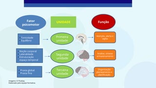 Fator
psicomotor
• Tonicidade
• Equilíbrio
• Noção corporal
• Lateralidade
• Estruturação
espaço temporal
• Praxia global
• Praxia fina
UNIDADE
Primeira
unidade
Terceira
unidade
Segunda
unidade
Atenção, alerta e
vigília
Análise, síntese
armazenamento
Organização
planejamento e
planificação
Função
Imagens: © Pixabay
Elaborado pela equipe formativa.
 