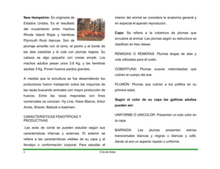 New Hampshire: Es originaria de
Estados Unidos. Es el resultado
del cruzamiento entre machos
Rhode Island Rojas y hembras
Plymouth Rock blancas. Son de
plumaje amarillo con el lomo, el pecho y el borde de
las alas castañas y la cola con plumas negras. Su
cabeza es algo pequeña con cresta simple. Los
machos adultos pesan unos 3,8 Kg. y las hembras
adultas 3 Kg. Ponen huevos pardos grandes.
A medida que la avicultura se fue desarrollando los
productores fueron trabajando sobre las mayorías de
las razas buscando animales con mayor producción de
huevos. Entre las razas mejoradas con fines
comerciales se conocen: Hy Line, Hisex Blanca, Arbor
Acres, Shaver, Badcok e Isabrown.
CARACTERÍSTICAS FENOTÍPICAS Y
PRODUCTIVAS
Las aves de corral se pueden estudiar según sus
características internas y externas. El exterior se
refiere a las características visibles de su capa y al
fenotipo o conformación corporal. Para estudiar el
interior del animal se considera la anatomía general y
en especial el aparato reproductor.
Capa: Se refiere a la cobertura de plumas que
envuelve al animal. Las plumas según su estructura se
clasifican en tres clases:
REMIGIAS O REMERAS: Plumas largas de alas y
cola utilizadas para el vuelo.
COBERTURA: Plumas suaves redondeadas que
cubren el cuerpo del ave.
PLUMÓN: Plumas que cubren a los pollitos en su
primera edad.
Según el color de su capa las gallinas adultas
pueden ser:
UNIFORME O UNICOLOR: Presentan un solo color en
la capa.
BARRADA: Las plumas presentan estrías
transversales blancas y negras o blancas y café,
dando al ave un aspecto rayado o uniforme.
Cría de Aves
6
 