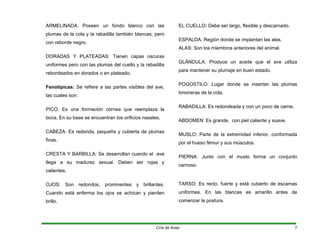 ARMELINADA: Poseen un fondo blanco con las
plumas de la cola y la rabadilla también blancas, pero
con reborde negro.
DORADAS Y PLATEADAS: Tienen capas oscuras
uniformes pero con las plumas del cuello y la rabadilla
rebordeados en dorados o en plateado.
Fenotípicas: Se refiere a las partes visibles del ave,
las cuales son:
PICO: Es una formación córnea que reemplaza la
boca. En su base se encuentran los orificios nasales.
CABEZA: Es redonda, pequeña y cubierta de plumas
finas.
CRESTA Y BARBILLA: Se desarrollan cuando el ave
llega a su madurez sexual. Deben ser rojas y
calientes.
OJOS: Son redondos, prominentes y brillantes.
Cuando está enferma los ojos se achican y pierden
brillo.
EL CUELLO: Debe ser largo, flexible y descarnado.
ESPALDA: Región donde se implantan las alas.
ALAS: Son los miembros anteriores del animal.
GLÁNDULA: Produce un aceite que el ave utiliza
para mantener su plumaje en buen estado.
POGOSTILO: Lugar donde se insertan las plumas
timoneras de la cola.
RABADILLA: Es redondeada y con un poco de carne.
ABDOMEN: Es grande, con piel caliente y suave.
MUSLO: Parte de la extremidad inferior, conformada
por el hueso fémur y sus músculos.
PIERNA: Junto con el muslo forma un conjunto
carnoso.
TARSO: Es recto, fuerte y está cubierto de escamas
uniformes. En las blancas es amarillo antes de
comenzar la postura.
Cría de Aves 7
 