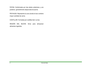 PATAS. Conformada por tres dedos anteriores y uno
posterior, generalmente desprovista de pluma.
PECHUGA: Representa la zona donde el ave contiene
mayor cantidad de carne.
COSTILLAR: Formadas por costillas bien curvas.
REGIÓN DEL BUCHE: Sirve para almacenar
alimentos ingeridos.
Cría de Aves
8
 
