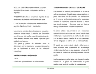 MOLLEJA O ESTÓMAGO MUSCULAR: Lugar en
donde los alimentos son molidos para facilitar su
digestión.
INTESTINOS: En ellos se completa la digestión de los
alimentos y se absorben los nutrientes y el agua.
CLOACA: Pequeña cavidad donde desembocan los
aparatos digestivo, urinario y reproductor.
Los primeros animales domesticados eran pequeños y
producían pocos huevos. A medida que convivieron
con el hombre, éste los fue cruzando y seleccionando
para obtener animales con mayor capacidad para
producir más huevos.
Los gallos y gallinas de diferentes razas se
diferencian por los caracteres sexuales secundarios
que se desarrollan a causa de las hormonas
masculinas.
Instalaciones para alojamiento
TIPOS
Existen dos tipos de sistema de confinamiento:
CONFINAMIENTOS O CRIANZAS EN JAULAS
Este sistema es utilizado principalmente en la cría de
gallinas ponedoras. El galpón para explotar gallinas en
jaulas debe tener piso de cemento, con depresiones
de 20 cms. de profundidad debajo de las jaulas para
contener el excremento producido durante 12 meses
que dura la postura . Conviene hacer un foso de
drenaje para mantener seco los excrementos.
En climas cálidos las paredes no son necesarias.
Bastará con colocar cortinas que cierren cuando haga
mal tiempo o haya corriente de aire fuerte. En climas
fríos se podrá construir paredes de 60 cms. de altura y
el resto del galpón se cubrirá con un plástico o fardo.
El pasillo que va entre jaula y jaula debe tener un
metro de ancho entre los extremos de las bandejas
donde ruedan los huevos. Las jaulas se colocan a 90
cm. desde el extremo de la bandeja hasta el piso del
pasillo.
Las formas de colocar las jaulas y la disposición de las
mismas en el galpón de confinamiento en jaulas
pueden variar según la cantidad de aves alojadas.
Cría de Aves 11
 