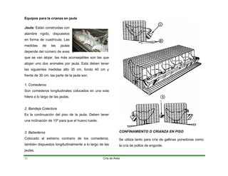 Equipos para la crianza en jaula
Jaula: stán construidas con
alambre rígido, dispuestos
en forma de cuadrícula. Las
medidas de las jaulas
depende del número de aves
que se van alojar, las más aconsejables son las que
alojan uno dos animales por jaula. Esta deben tener
las siguientes medidas alto 35 cm, fondo 40 cm y
frente de 30 cm. las parte de la jaula son:
1. Com
E
ederos
s longitudinales colocados en una sola
. Bandeja Colectora
l piso de la jaula. Deben tener
. Bebederos
xtremo contrario de los comederos,
también dispuestos longitudinalmente a lo largo de las
jaulas.
e utiliza tanto para cría de gallinas ponedoras como
cría de pollos de engorde.
Son comedero
hilera a lo largo de las jaulas.
2
Es la continuación de
una inclinación de 10º para que el huevo ruede.
3
Colocado al e
CONFINAMIENTO O CRIANZA EN PISO
S
la
Cría de Aves
12
 