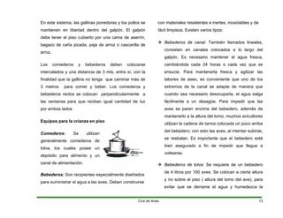En este sistema, las gallinas ponedoras y los pollos se
mantienen en libertad dentro del galpón. El galpón
debe tener el piso cubierto por una cama de aserrín,
lados y una distancia de 3 mts. entre sí, con la
finalidad que la gallina no tenga que caminar más de
Se utilizan
olva, los cuales posee un
depósito para alimento y un
a a las aves. Deben construirse
os a lo largo del
™
de 4 litros por 100 aves. Se colocan a cierta altura
bagazo de caña picada, paja de arroz o cascarilla de
arroz.
Los comederos y bebederos deben colocarse
interca
3 metros para comer y beber. Los comederos y
bebederos rectos se colocan perpendicularmente a
las ventanas para que reciban igual cantidad de luz
por ambos lados
Equipos para la crianza en piso
Comederos:
generalmente comederos de
t
canal de alimentación.
Bebederos: Son recipientes esp
para suministrar el agu
con materiales resistentes e inertes, inoxidables y de
fácil limpieza. Existen varios tipos:
™ Bebederos de canal: También llamados lineales,
consisten en canales colocad
galpón. Es necesario mantener el agua fresca,
cambiándola cada 24 horas o cada vez que se
ensucie. Para mantenerla fresca y agilizar las
labores de aseo, es conveniente que uno de los
extremos de la canal se adapte de manera que
cuando sea necesario desocuparla, el agua salga
fácilmente a un desagüe. Para impedir que las
aves se paren encima del bebedero, además de
mantenerlo a la altura del lomo, muchos avicultores
utilizan la cadena de tarros colocada un poco arriba
del bebedero; con esto las aves, al intentar subirse,
se resbalan. Es importante que el bebedero esté
bien asegurado a fin de impedir que llegue a
voltearse.
Bebederos de tolva: Se requiere de un bebedero
ecialmente diseñados
y no sobre el piso ( altura del lomo del ave), para
evitar que se derrame el agua y humedezca la
Cría de Aves 13
 