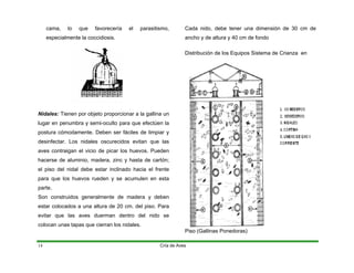 cama, lo que favorecería el parasitismo,
especialmente la coccidiosis.
idales: Tienen por objeto proporcionar a la gallina un
onstruidos generalmente de madera y deben
Piso (Gallinas Ponedor
N
lugar en penumbra y semi-oculto para que efectúen la
postura cómodamente. Deben ser fáciles de limpiar y
desinfectar. Los nidales oscurecidos evitan que las
aves contraigan el vicio de picar los huevos. Pueden
hacerse de aluminio, madera, zinc y hasta de cartón;
el piso del nidal debe estar inclinado hacia el frente
para que los huevos rueden y se acumulen en esta
parte.
Son c
estar colocados a una altura de 20 cm. del piso. Para
evitar que las aves duerman dentro del nido se
colocan unas tapas que cierran los nidales.
Cada nido, debe tener una dimensión de 30 cm de
ancho y de altura y 40 cm de fondo
Distribución de los Equipos Sistema de Crianza en
as)
Cría de Aves
14
 