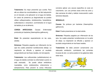 Tratamiento: Es mejor prevenirla que curarla. Para
ello se utilizan los coccidiostáticos, de fácil adquisición
en el mercado y de aplicación en el agua de bebida.
En casos de presencia ya diagnosticada se pueden
utilizar sulfaquinoxalina, clortetraciclina, furazolidona,
sulfametacina o amprolium, suministrados en el agua
de bebida y/o en el alimento.
CORIZA INFECCIOSA: Causas: Enfermedad
producida por bacterias (Haemophilus gallinarum).
Edad: Se presentan especialmente en las aves.
adultas
Síntomas: Párpados pegados por inflamación de los
ojos los cuales presentan tumefacciones debajo. La
respiración se dificulta y aparece un exudado
sanguinolento por las fosas nasales, de mal aspecto.
Tratamiento: Las sulfonamidas (sulfadimetocina) en
el agua de bebida controlan la enfermedad cuando no
está avanzada. Se puede utilizar antibióticos
inyectables, como oxitetraciclina, eriteromicina y
estreptomicina. Para prevenir la coriza infecciosa
conviene aplicar una vacuna específica en aves en
crecimiento, con una primera dosis entre las ocho y
diez semanas de edad y realizar revacunación cuatro
semanas después.
MOQUILLO:
Causas: Se produce por bacterias (Haemophilus
gallinarum).
Edad: Puede presentarse en la edad adulta.
Síntomas: Párpados pegados por inflamación de los
ojos, los cuales presentan tumefacciones en la parte
de abajo. La respiración se dificulta y aparece un
exudado sanguinolento en las fosas nasales.
Tratamiento: Se debe prevenir conservando una
adecuada ventilación, controlando las corrientes
bruscas de aire. La cama puesta en los galpones debe
estar seca.
Cría de Aves 29
 