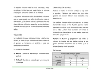 Se eligirán siempre entre las más precoces y más
ponedoras, lo ideal es que hayan hecho la primera
puesta para conocer la calidad de las mismas.
Las gallinas empleadas como reproductoras conviene
que no hayan estado con gallos de diferentes razas o
defectuosos, pues en tal caso sus primeras crías no
dispondrán de suficientes garantías, ya que pudieran
estar influenciados por las cualidades de los anteriores
gallos.
Incubación
La incubación tiene por objeto suministrar a los huevos
el calor, la aireación y la humedad necesaria para que
el germen se transforme en embrión y este se
desarrolle normalmente.
La incubación puede ser:
™ Natural: Cuando es realizada por un animal vivo
(gallina).
™ Artificial: Cuando es realizada por una máquina
incubadora.
LA INCUBACIÓN NATURAL
Todavía se emplea en el medio rural por su bajo coste
y sencillez. Partiendo de huevos con una cierta
garantía se pueden obtener unos resultados muy
satisfactorios.
Las gallinas cluecas deben colocarse en un cuarto
ligeramente oscuro y frío. Pueden ponerse varias
gallinas en el mismo local, siempre que cada una esté
en su nido. La hora más favorable para iniciar la
incubación es al anochecer, ya que suelen estar más
tranquilas que por el día.
Número de huevos y preparación del nido: El
número de huevos que se pueden colocar a una
gallina depende del tamaño de la misma y de la
temperatura del medio ambiente.
Así tenemos:
Número de huevos por gallina
Clima
Raza (tipo)
Frío Cálido
Pesadas 12 16
Ligeras 8 12
Enanas 6 8
Cría de Aves 31
 