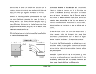 El nidal ha de tener un tamaño en relación con la
clueca, siendo conveniente que esté provisto de una
tapa para evitar que la gallina abandone los huevos.
El nido se prepara poniendo primeramente una capa
de arena (optativa), después otra capa de hierba o
forraje fresco y por último una capa de paja limpia y
seca. El objeto del manojo de hierba fresca, es el de
proporcionarle humedad; así pues, en los meses poco
calurosos puede suprimirse.
El nido ha de tener una cierta concavidad para facilitar
la colocación de los huevos.
Cuidados durante la incubación: Es conveniente
hacer un miraje de huevos, con el fin de retirar los
claros o abortados. El miraje de huevos se realiza
entre el quinto y el séptimo día de Durante toda la
incubación se deben examinar los huevos, de vez en
cuando, para comprobar si se ha roto alguno, y
retirarlo inmediatamente. Para retirar los huevos rotos,
se aprovechará el momento en que la gallina sale a
comer.
Si hay huevos sucios, por rotura de otros huevos u
otras causas, estos se limpiaran con agua tibia
secándolos posteriormente con un trapo de tejido
suave, frotando la cáscara y sin sacudidas bruscas.
A partir del día 18 de incubación se debe procurar, por
todos los medios, que la gallina permanezca sentada
en su nidal el máximo tiempo posible, hasta la salida
del primer pollito.
También a partir del día 18 de incubación y para
mantener un adecuado grado higrométrico (60 % de
humedad), sobre todo en los meses calurosos, se
debe regar el suelo del local periódicamente.
Cría de Aves
32
 