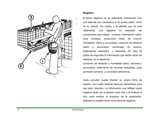 .
Registro
El llevar registros no es solamente interesante, sino
que además son necesarios si se quiere saber, cómo
va la crianza, los costos y la utilidad que se está
obteniendo. Los registros no necesitan ser
complicados pero deben contener información sobre:
aves iniciadas, producción diaria de huevos,
mortalidad diaria y acumulada, consumo de alimento
diario y acumulado, porcentaje de postura,
tratamientos realizados y descartes. En caso de
pollos de engordes la información que deben tener los
registros es la siguiente:
Consumo de alimento y mortalidad diaria, semanal y
acumulada, tratamiento de vacunas realizadas, peso
promedio semanal y conversión alimenticia.
Cada avicultor puede diseñar su propia ficha de
registro, los cuales deberán llenarse diariamente para
que sean precisos. La información que reflejan estos
registros debe ser analizada cada mes y al finalizar el
año, para evaluar el progreso de la explotación.
Además se pueden llevar otros tipos de registros.
Cría de Aves
34
 
