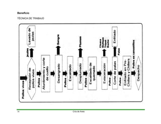 Beneficio
TÉCNICA DE TRABAJO
Cría de Aves
36
 