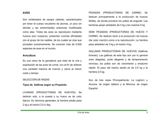 AVES
Son vertebrados de sangre caliente, caracterizados
por tener el cuerpo recubierto de plumas, un pico sin
dientes y las extremidades anteriores modificadas
como alas. Todas las aves se reproducen mediante
huevos (son ovíparos), presentan muchas afinidades
con el grupo de los reptiles, de los cuales se cree que
proceden evolutivamente. Se conocen más de 9.000
especies de aves en el mundo.
Avicultura
Es una rama de la ganadería que trata de la cría y
explotación de las aves de corral, con el fin de obtener
una cantidad máxima de huevos y carne al menor
costo y tiempo.
SELECCIÓN DE RAZAS
Tipos de Gallinas según su Propósito
LIVIANAS (PRODUCTORAS DE HUEVOS): Se
dedican solo, a la puesta y su huevo es de color
blanco. En términos generales, la hembra adulta pesa
2 kg y el macho 2.5 a 3kg.
PESADAS (PRODUCTORAS DE CARNE): Se
dedican principalmente a la producción de huevos
fértiles, de donde proviene los pollos de engorde. Las
hembras pesan alrededor de 4 kg y los machos 5 kg
SEMI PESADAS (PRODUCTORAS DE HUEVO Y
CARNE): Se dedican tanto a la producción de huevos
(de color marrón) como a la reproducción. La hembra
pesa alrededor de 3 kg y el macho 4 kg.
GALLINAS PRODUCTORAS DE HUEVOS (Gallinas
livianas): Las gallinas de este tipo son por lo general
aves delgadas, porte elegante y de temperamento
nervioso; los pollos son de crecimiento y emplume
rápido. El peso del macho adulto es de 2.5 kg y la
hembra 2.0 kg.
Son de tres razas Principalmente: La Leghorn y
Ancona, de origen italiano y la Minorca, de origen
Español:
Cría de Aves 3
 