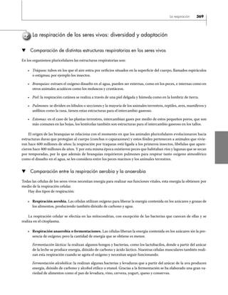 341368056-Guia-Bachillerato-Conamat.pdf
