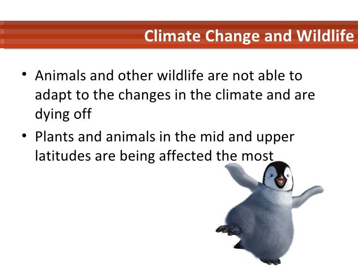 Proposal Essay Template Damage Caused By Hurricane Ullianimals And Other Wildlife The Importance Of Learning English Essay also Essay Writing Examples English Going Green And Save Earth What Is Thesis In An Essay