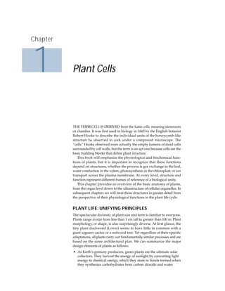 Lumen In Bio Plant Physiology 4th Lincoln Taiz Eduardo Zeiger | PDF