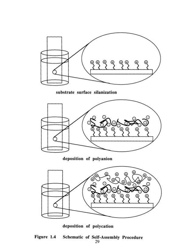 Thesis molecular 08 image