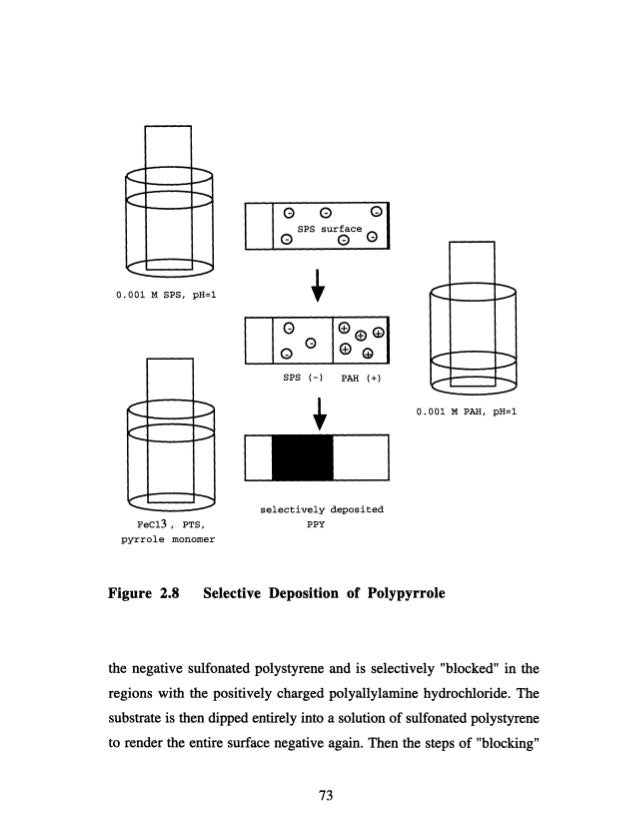 What is a dissertation image