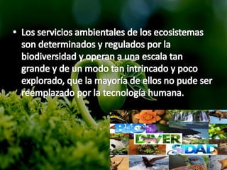 Rol de los seres vivos en los Ecosistemas | PPTX