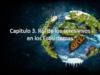 Rol de los seres vivos en los Ecosistemas | PPTX