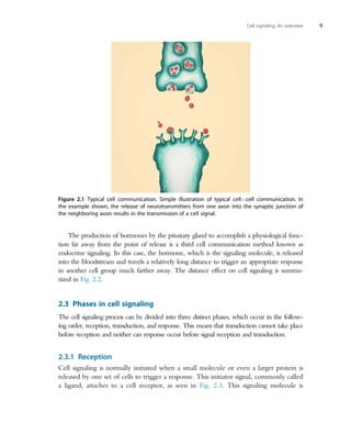 Resception Cell Mechanotransduction: Cell Signaling to Cell Response Paul A. Sundaram | PDF