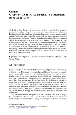Bone Adaptation In Silico Approach 1st Edition Yoshitaka Kameo | PDF