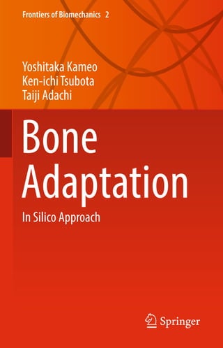 Bone Adaptation In Silico Approach 1st Edition Yoshitaka Kameo | PDF